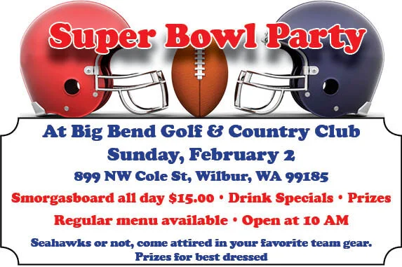 Super Bowl Party