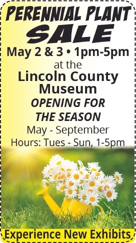 Museum plants and opening.jpg