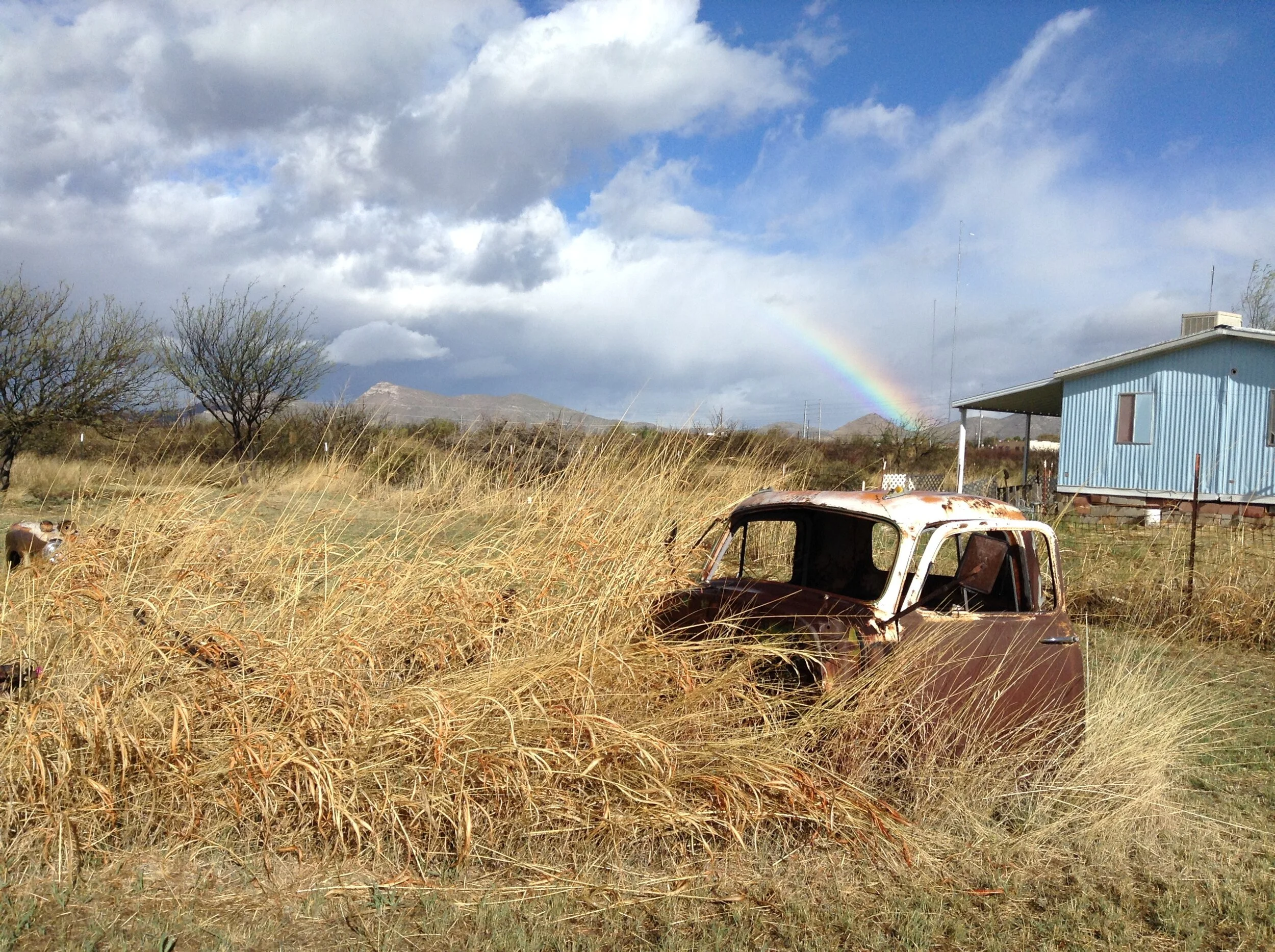 IMG_0260.JPG