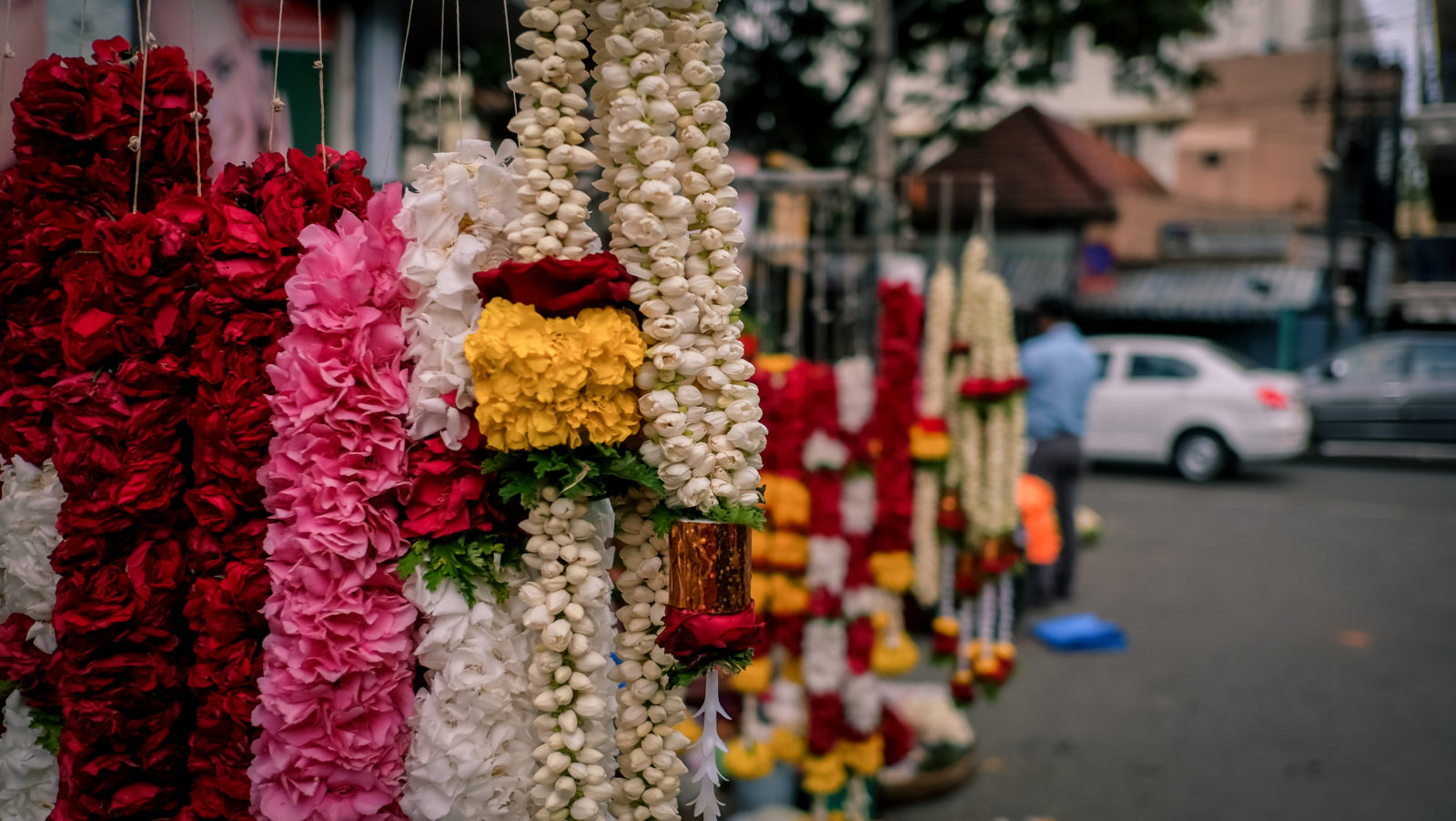Be my little flower, plis. (Image courtesy http://picklejar.in)