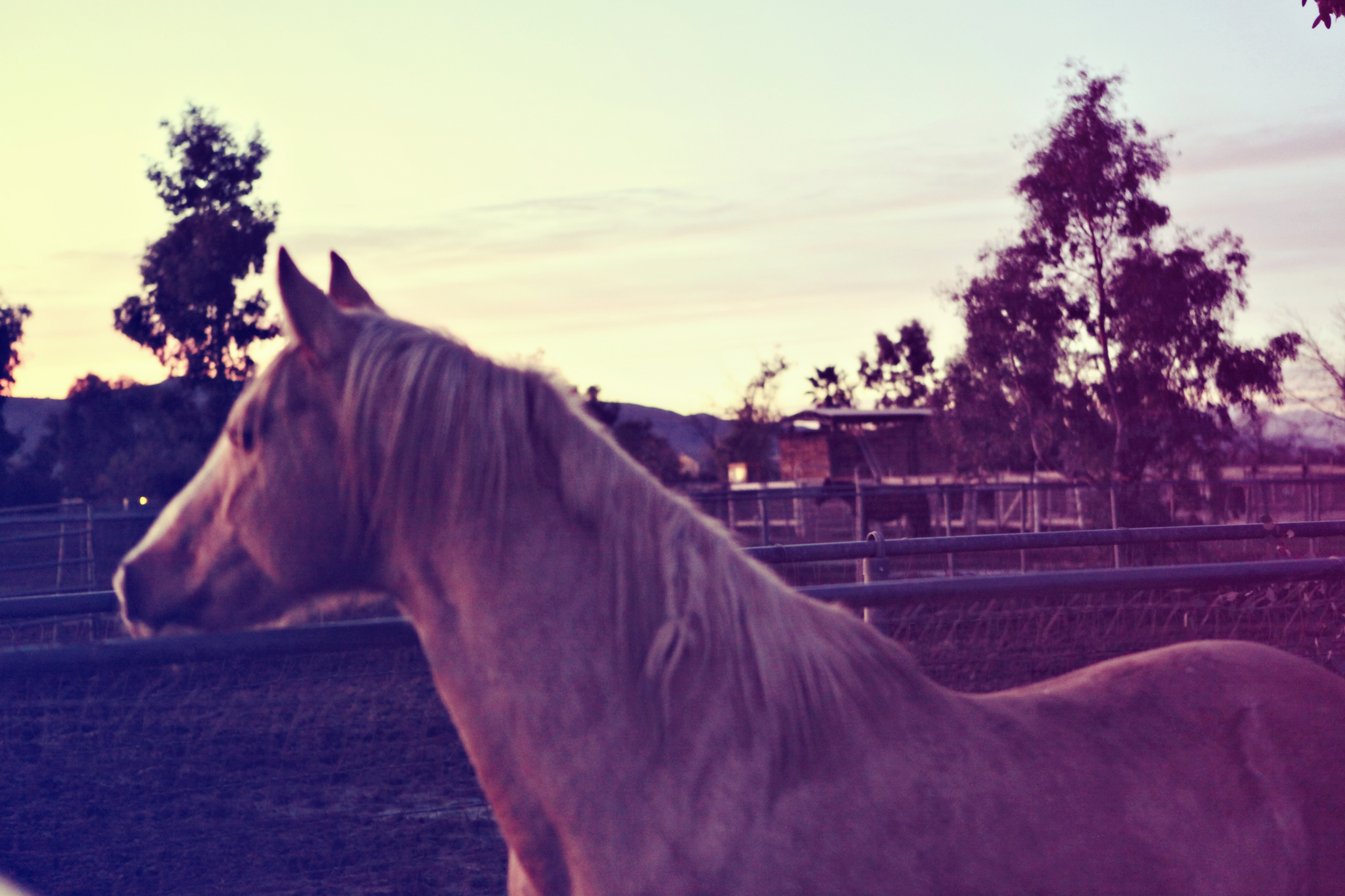 Hemet, CA.