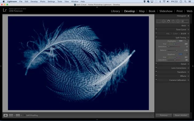 HOW TO USE LIGHTROOM WITH TONING PICTURES