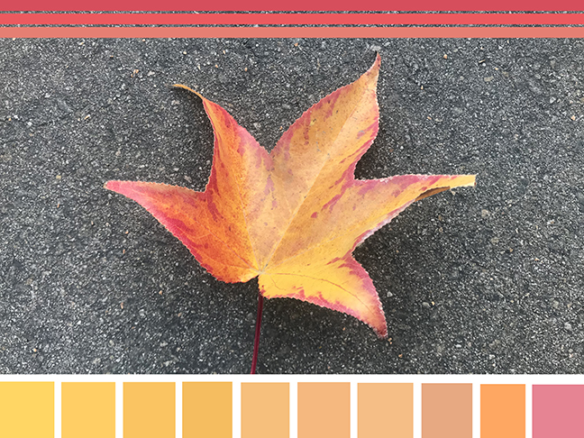 Golden Leaf