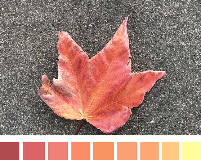 Red Leaf Autumn