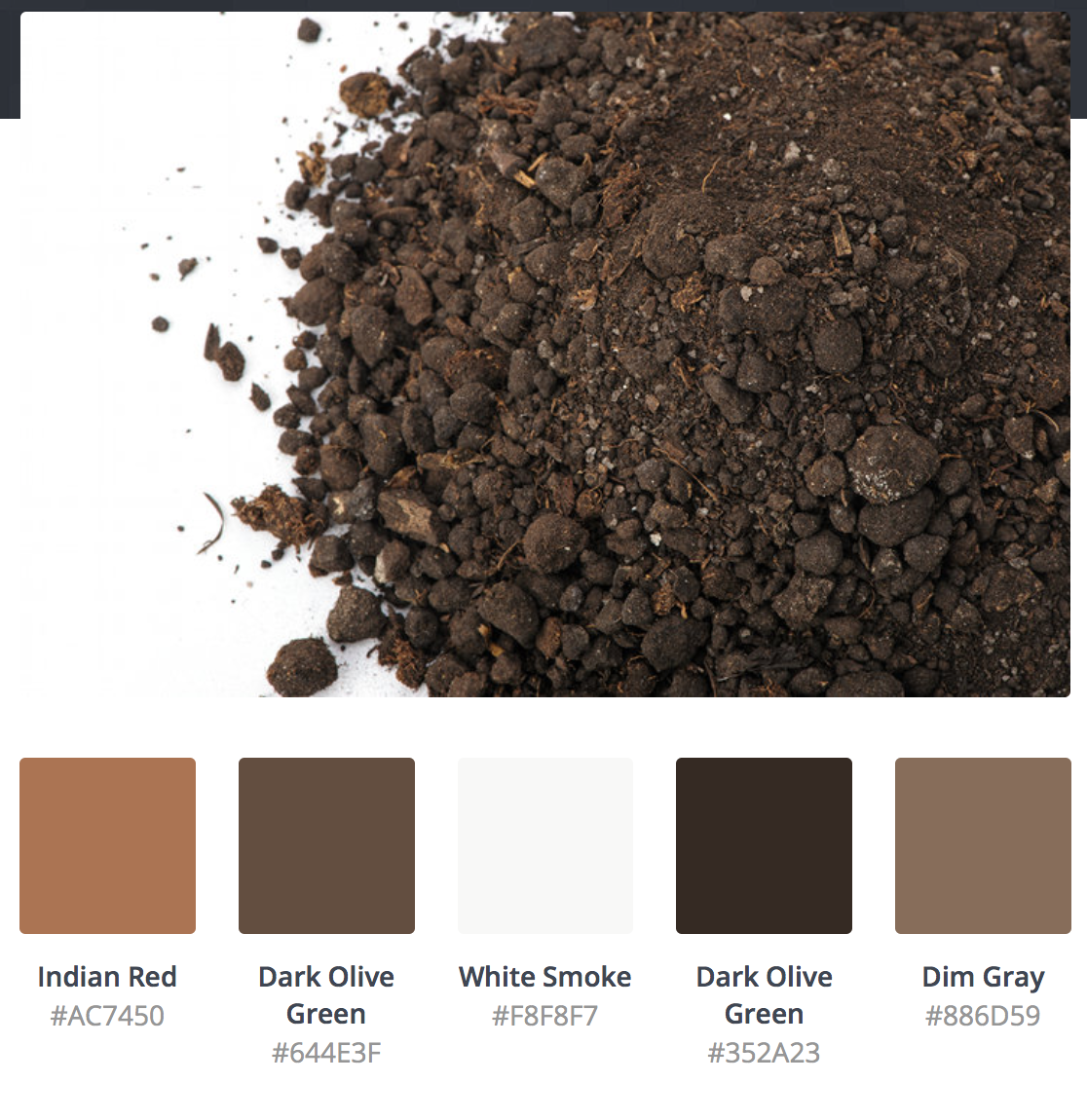Dirt-color.png