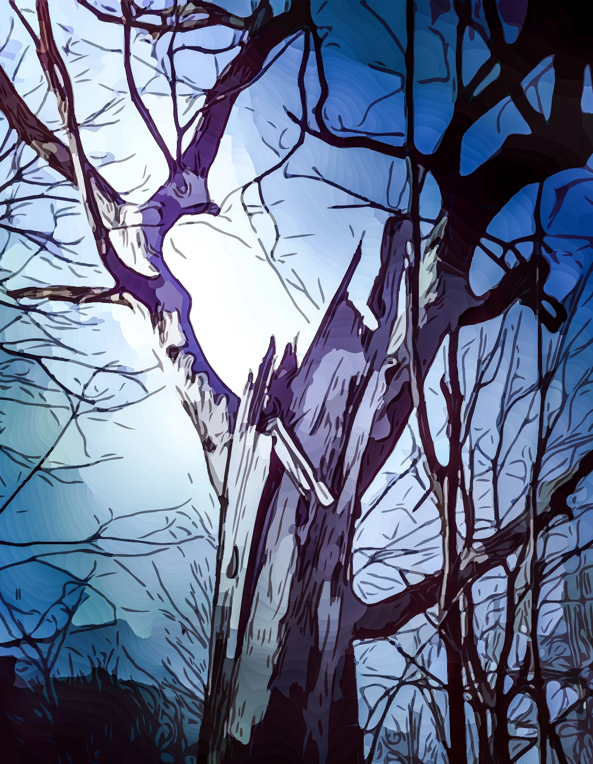 Natural Solutions, Canada's Plans &amp; Human-Centred Design (798)