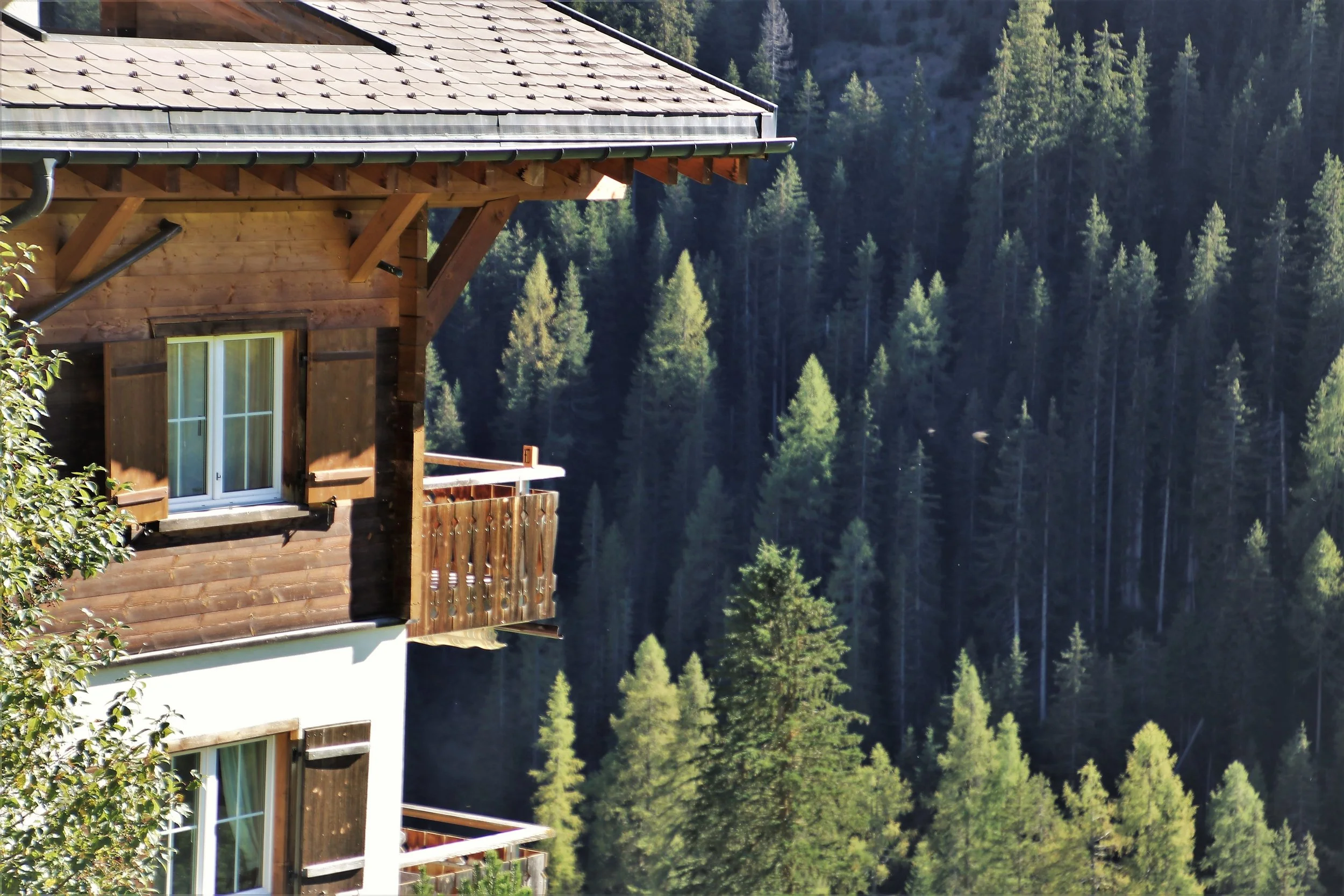 Carney's Davos Speech, ICE In Canada &amp; The Green Resilience Project (1005)