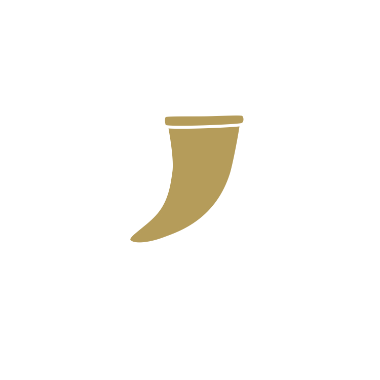Horn