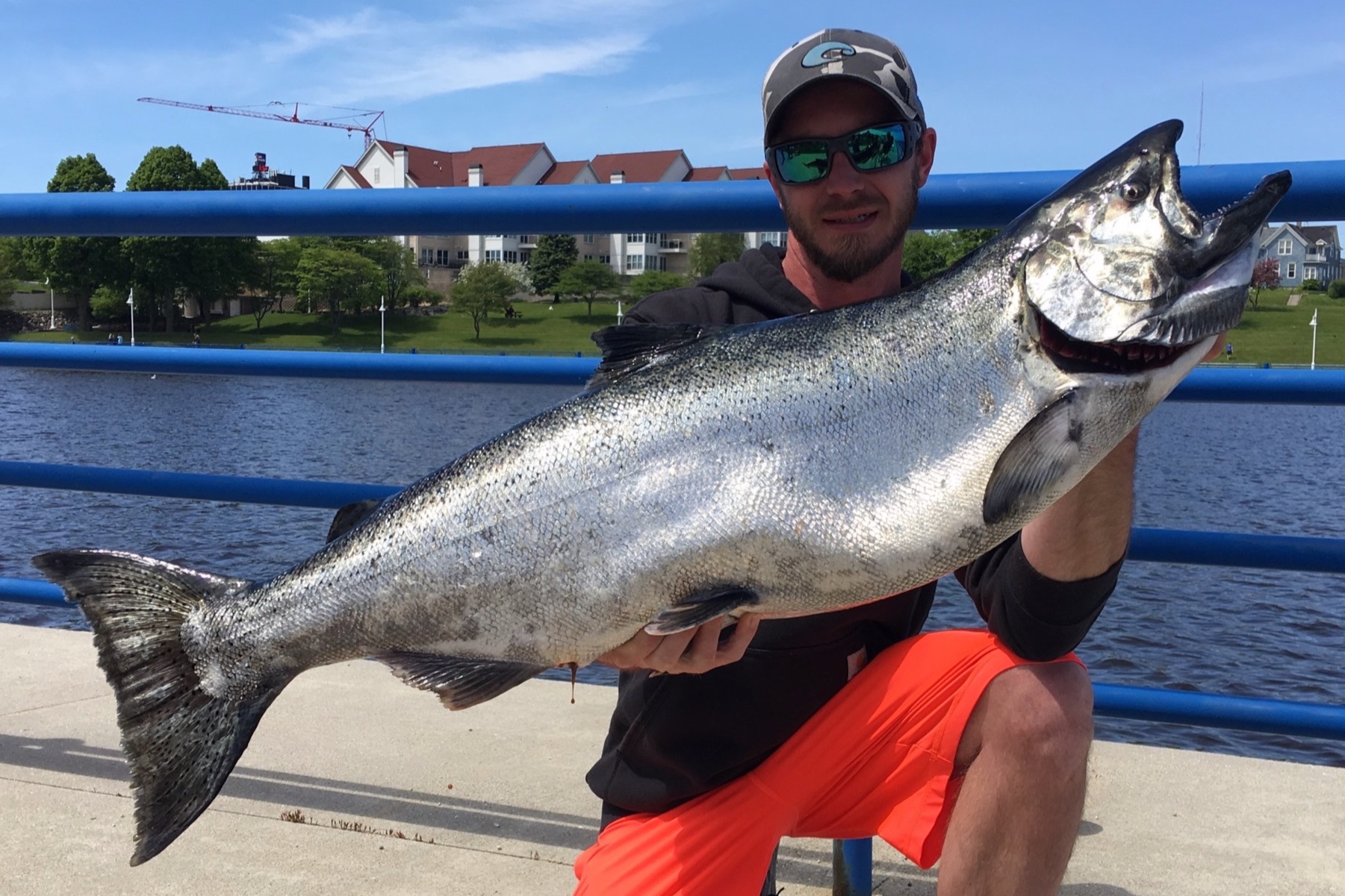2019 Big Fish Honorable Mention