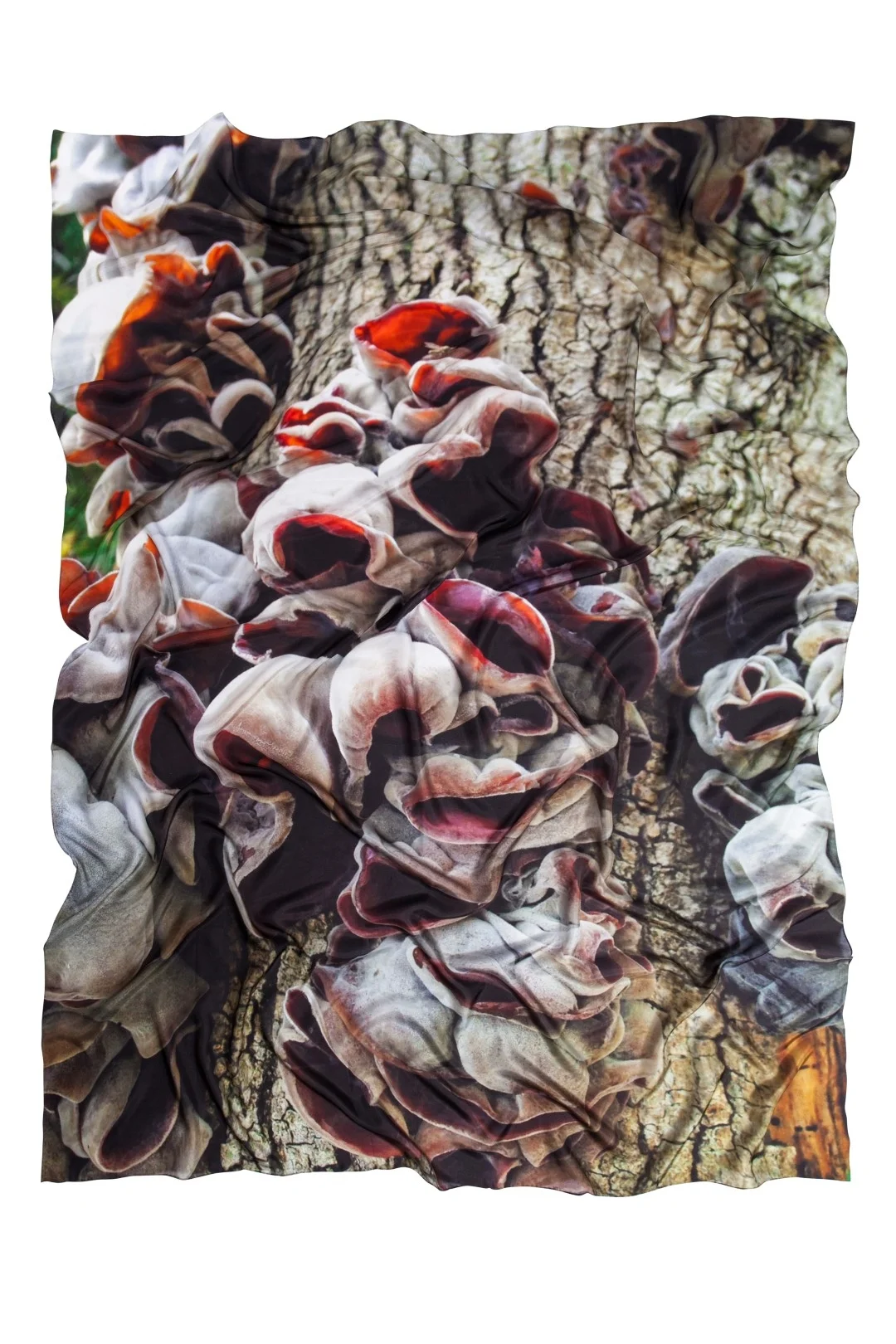 Victoria Smyth photography Tree Anemone extra large silk scarf