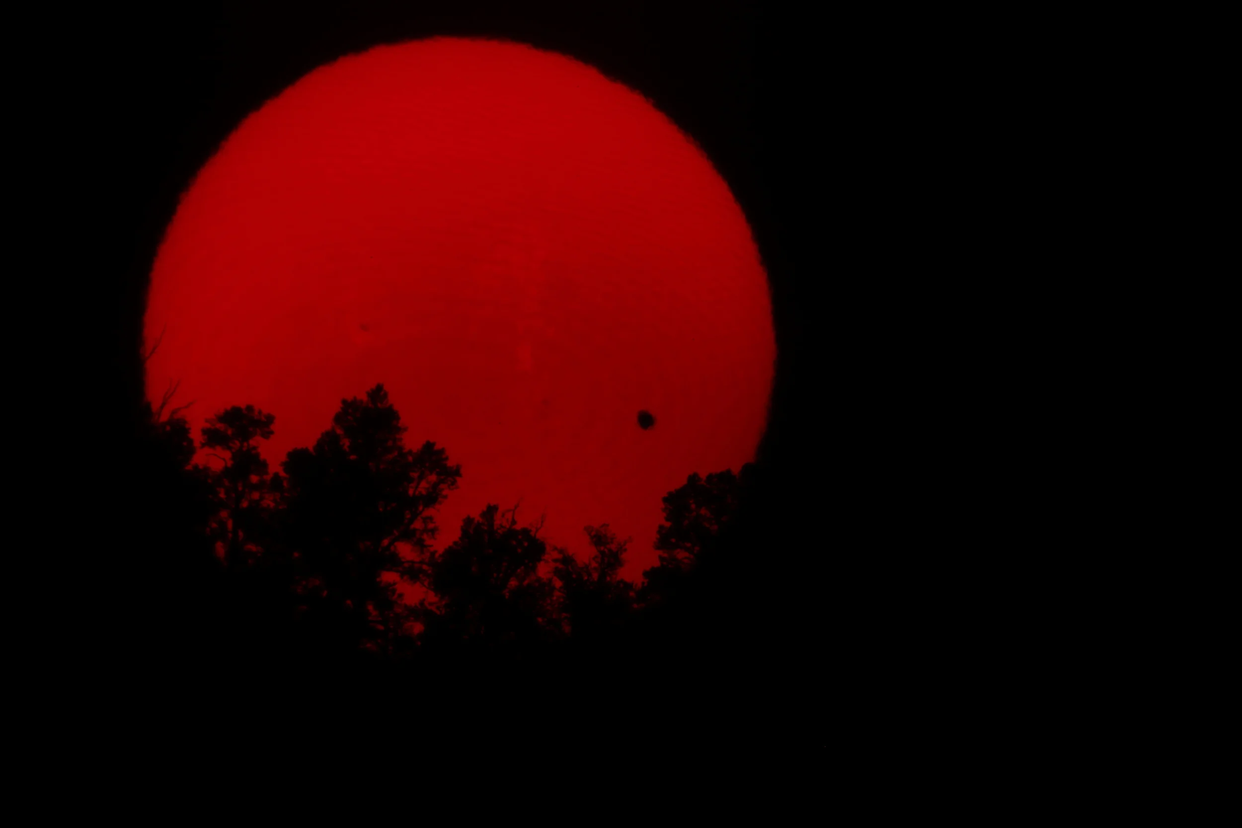 Transit of Venus in H-Alpha Light