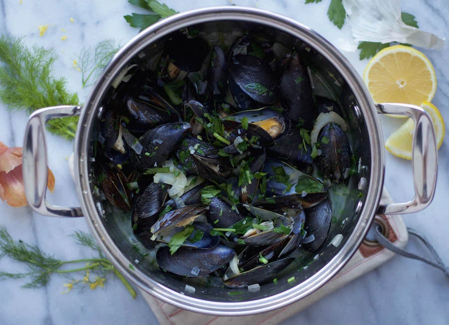 Steamed Mussels in Fennel White Wine Broth with Lemon — Feast & Fable