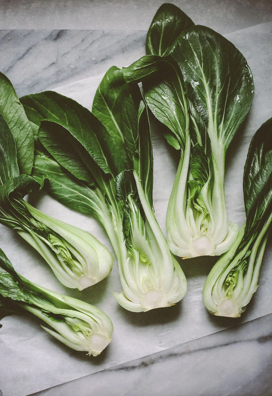 Bok Choy_web.jpeg