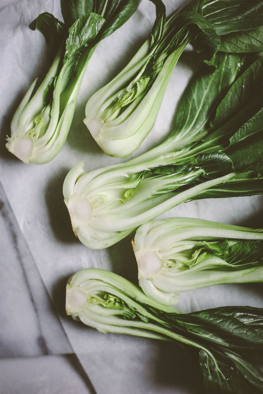 Bok Choy 2_web.jpeg