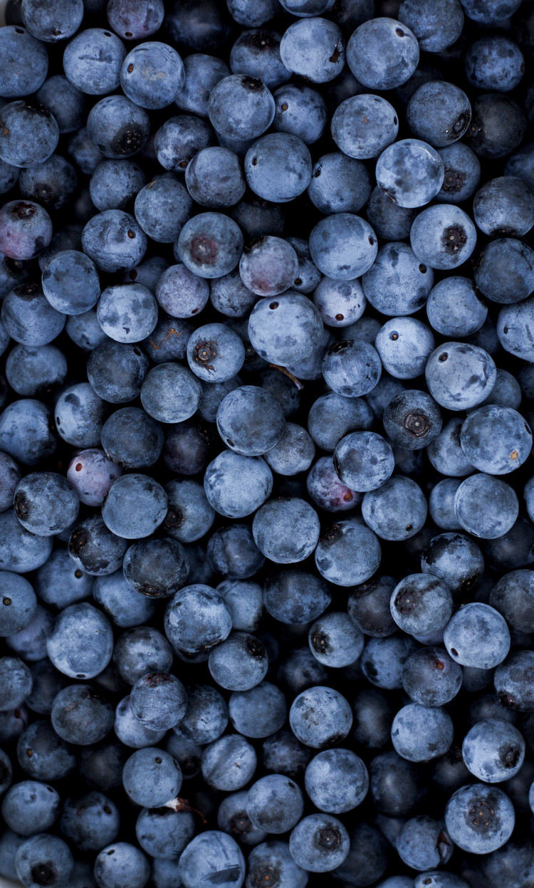 blueberries.jpg