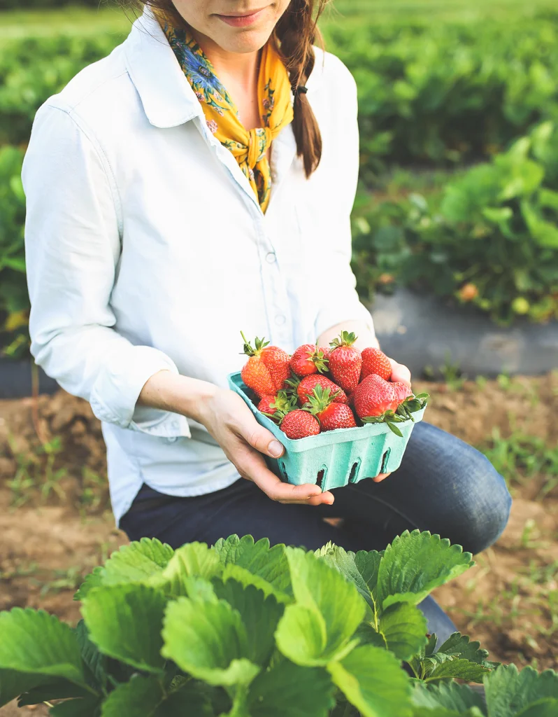 Mackenzie Luttrell_Strawberry Picking_Strawberry Clafoutis Recipe
