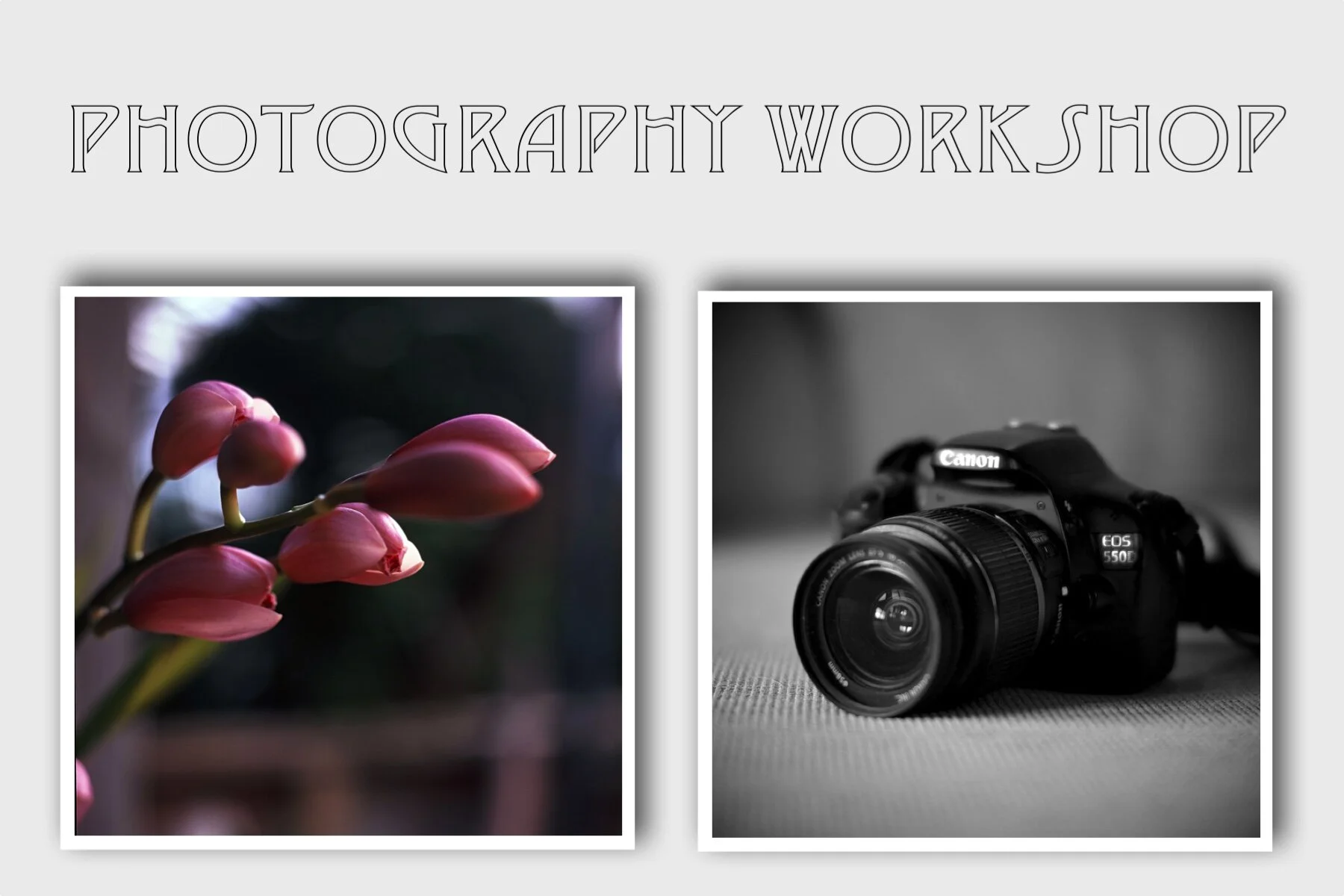 Photography Workshop