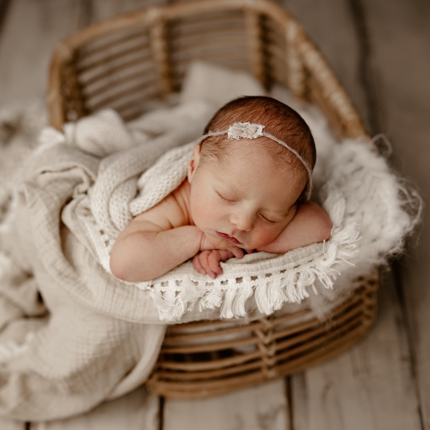 There&rsquo;s been lots of girls lately!  Another week full of babies and we are officially booking into June !  That&rsquo;s crazy.  Get on the schedule! #pittsburghnewbornphotographer #babyphotos #babypictures #babyphotographer