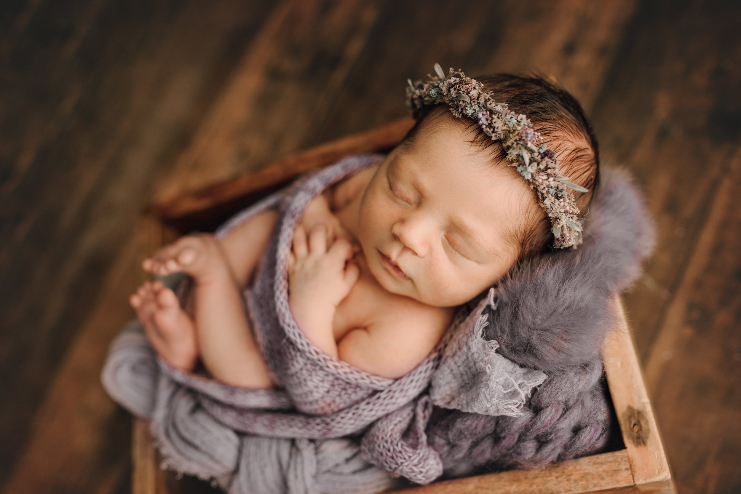 PITTSBURGH NEWBORN PHOTOGRAPHER near me, Pittsburgh newborn photography, wrapped newborn photo, newborn photography Pittsburgh, baby photos Pittsburgh, burgh babies, baby photographer near me, purple baby photos, newborn session purple