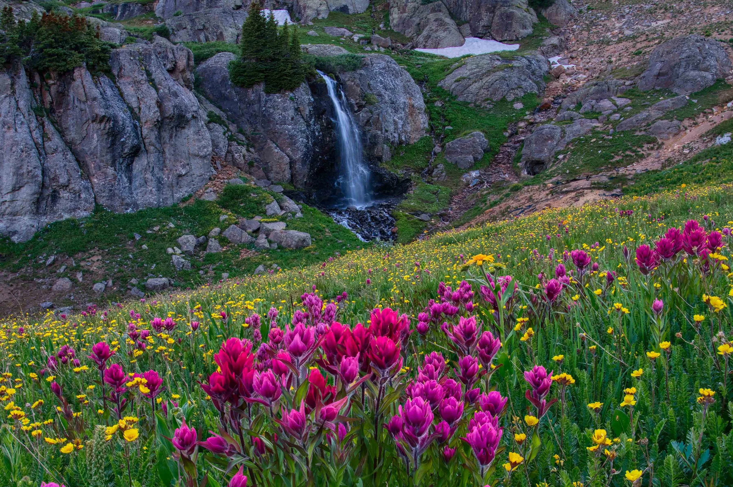 Flowerfall