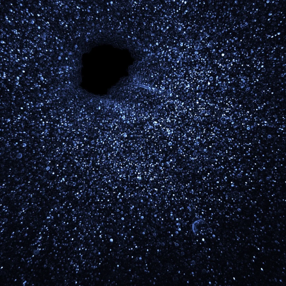 I Want to see the Stars Undressed