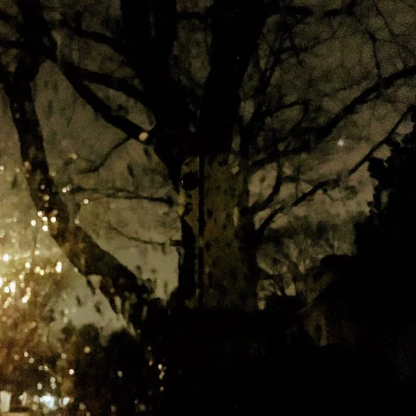 After dark, I sat alone in her car warming my toes and watching freezing rain on the windows, thinking about the new world. A weather memory from lifetimes ago woke up: a night of romance and sleet on a swing set in an abandoned park. 