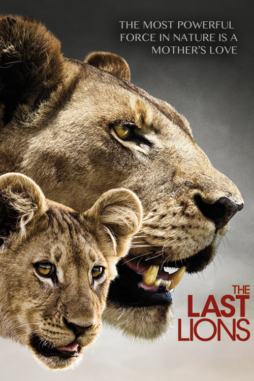 lastlionscover.jpg