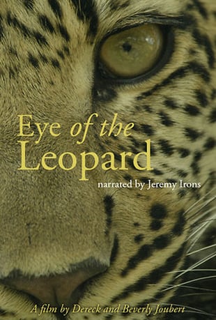 eyeoftheleopard.jpg