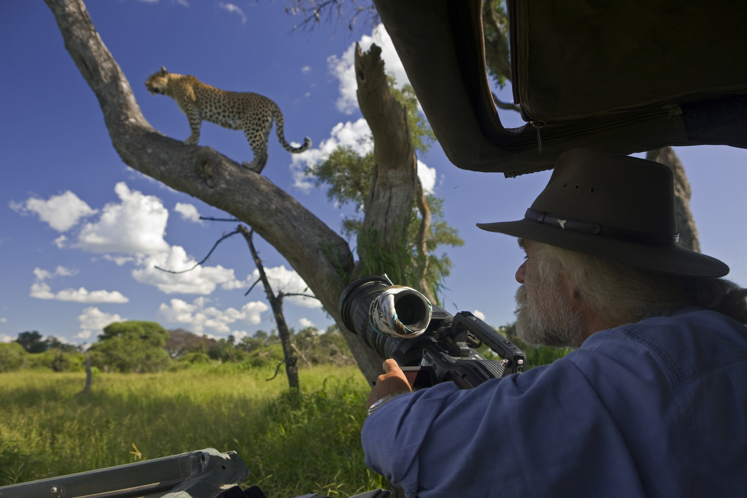 Mombo_Okavango_Botswana_BJoubert_20080212_1063.jpg