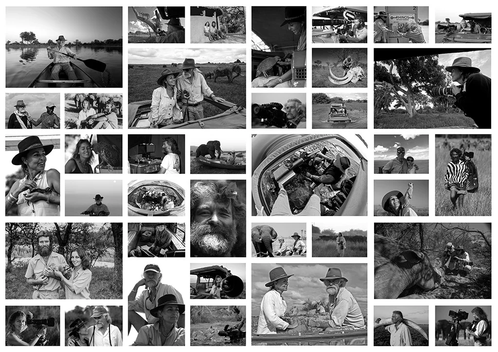 D&BField-Collage.jpg
