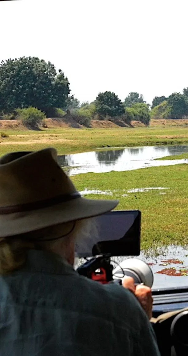 We've just returned from Tembo Plains in Zimbabwe, named for the elephants ('tembo' in Swahili) that move with such grace across the Sapi Reserve. Not long ago this land was scarred by decades of hunting. Now, through the Sapi Restoration Initiative,