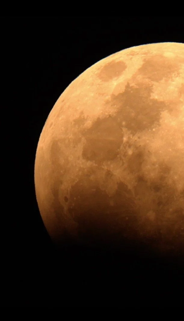 Last night, thousands upon thousands of people looked up to capture the blood-red lunar eclipse; this timelapse is just a single perspective. Shooting it, it was impossible not to feel small, one creature beneath a vast, slow-moving universe. Wildern