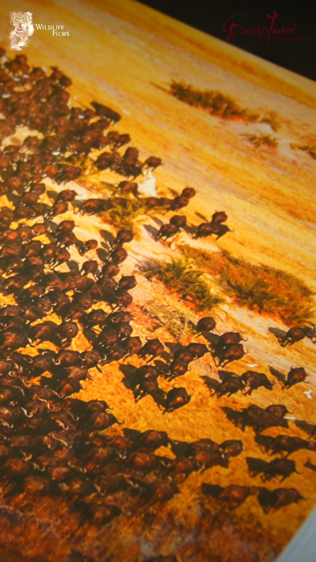 In one week's time ...