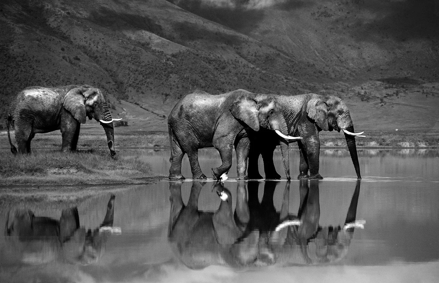 "Nature does not hurry, yet everything is accomplished." – Lao Tzu