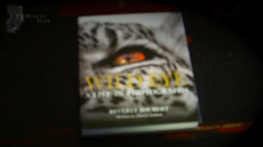 Today, we’re thrilled to share the official launch of our latest book with you. Wild Eye is a journey through the Africa we’ve come to know and love over decades spent behind the lens. Through this collection of photographs, we hope that