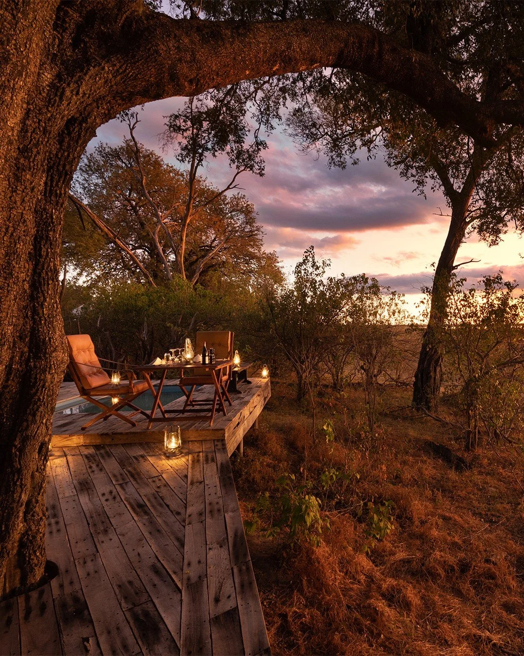 Zarafa Camp | The Allure of the Wild
Zarafa means “beloved one.” Here, in Botswana's Selinda Reserve, your own safari love story awaits. There's a timelessness about this place, a special sense of connection with nature that whispers thr