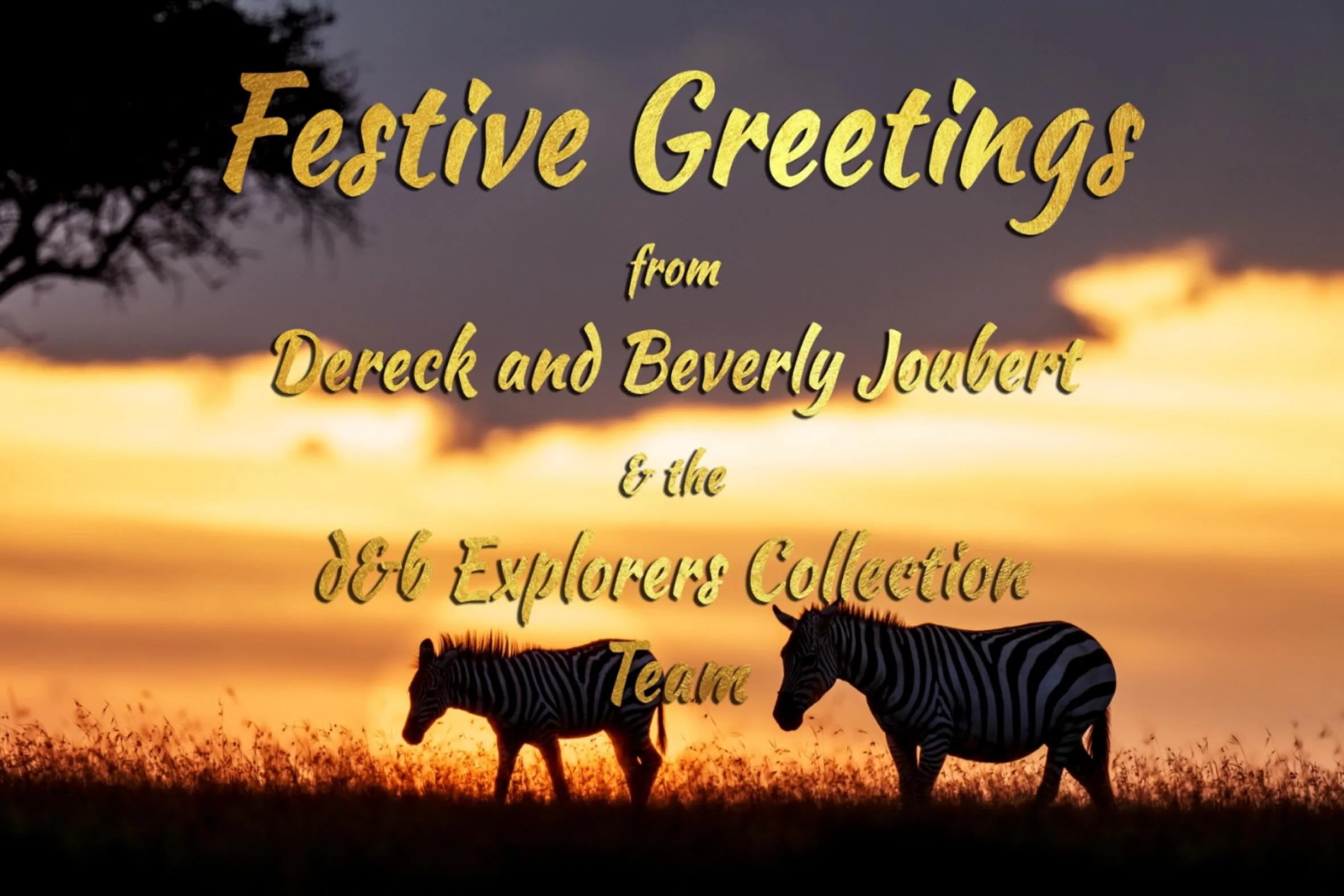 Happy Holidays from all of us at d&amp;b Explorer Collection!!!