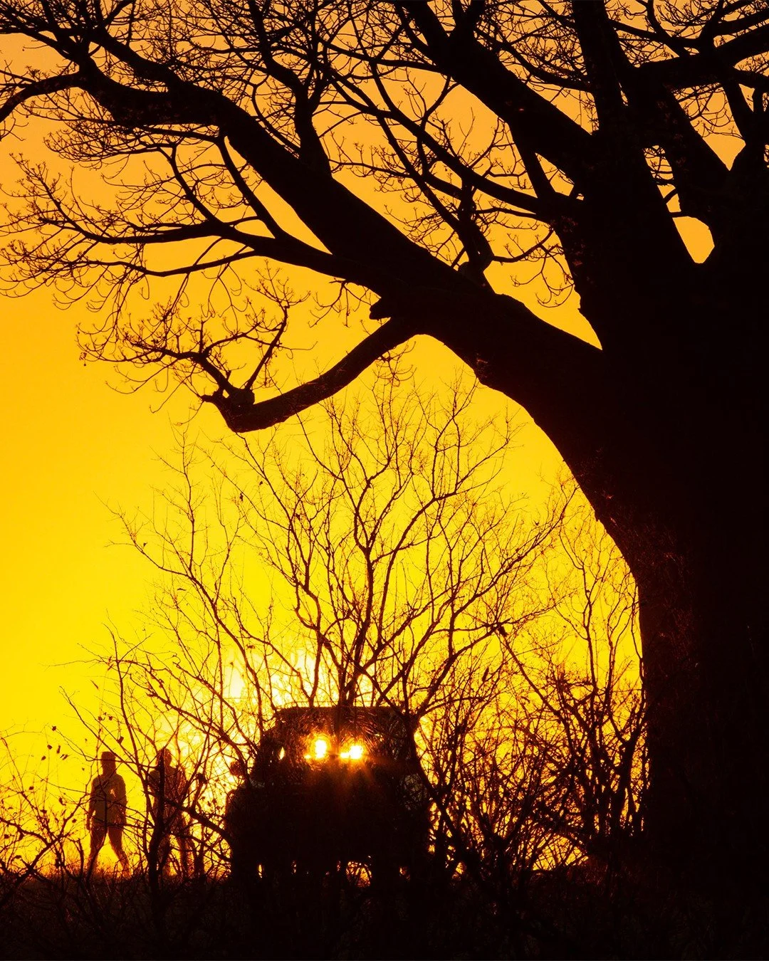 Mpala Jena | An intimate safari retreat in Victoria Falls

Set along the Zambezi River&rsquo;s tree-lined banks, Mpala Jena offers barefoot luxury and close-up wildlife encounters in Zimbabwe&rsquo;s Zambezi National Park.

What waiting for you at Mp