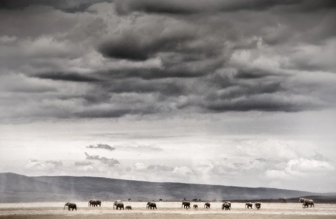 Today, we honour the legacy of Jane Goodall whose presence is felt so deeply in the forests she protected, in the chimpanzees she gave a voice to, and in all of us who chose to fight for something greater than ourselves. There are those who change sc