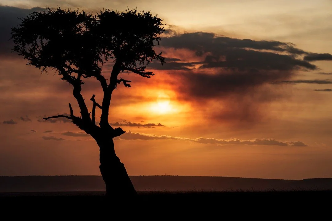 Every African sunset brings something different. There&rsquo;s a seemingly endless spectrum of amber and gold that saturate the vast canvas of the Kenyan skyline &ndash; a lone tree outlined by the quickly fading sunlight is the only landmark across 