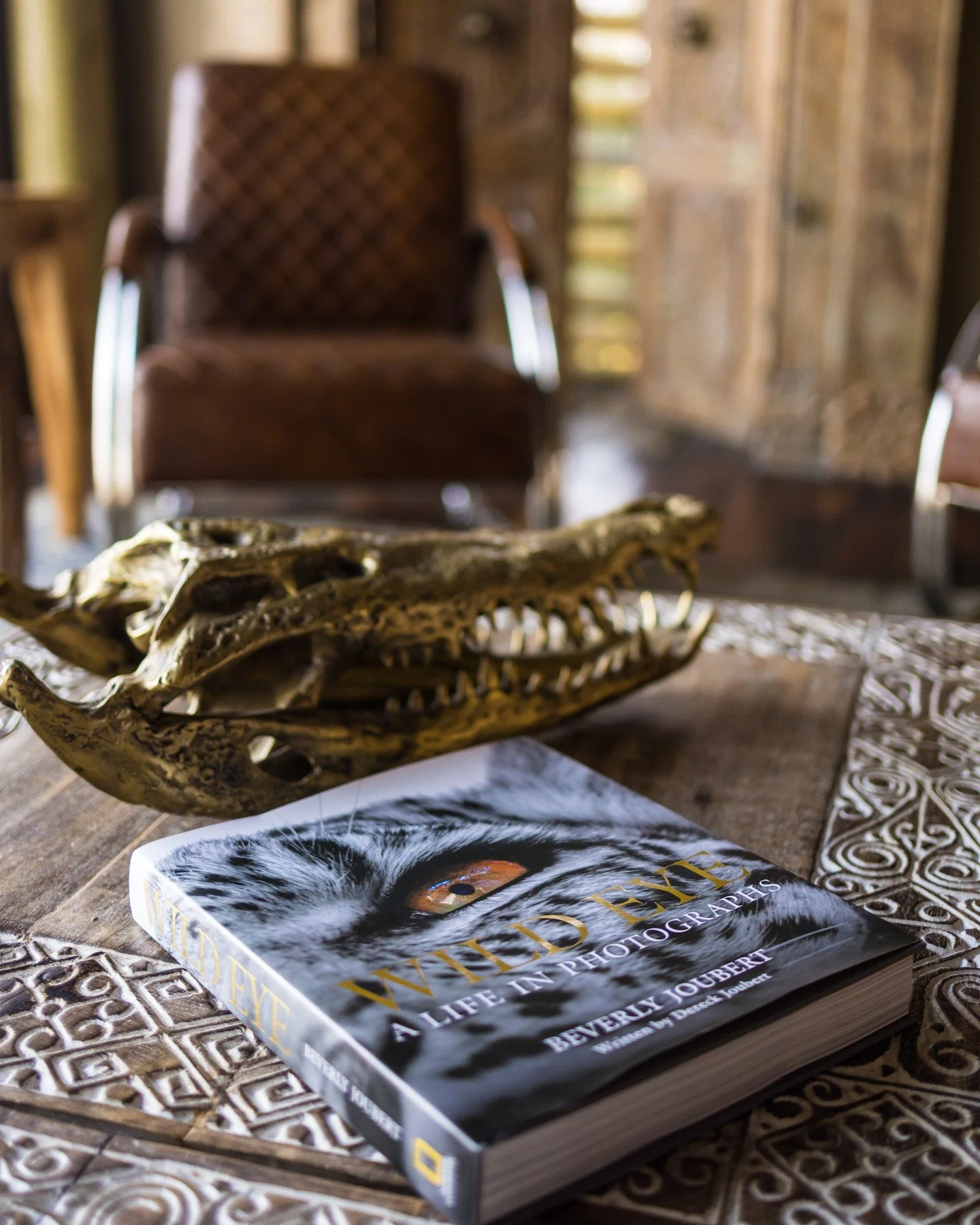 Every year, on 23 April, UNESCO celebrates World Book Day in recognition of the power of storytelling and its ability to transcend time, culture, and generations. For more than forty years, @DereckJoubert and I have spent our lives alongside Africa&r