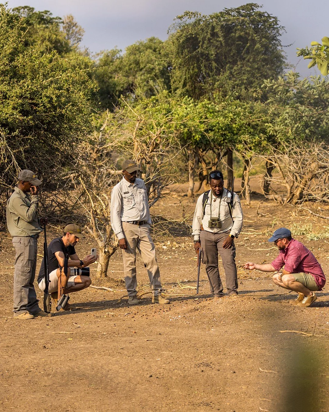 The bush comes alive in unexpected ways on a walking safari. The crunch of gravel underfoot, the earthy warmth of the air, an otherwise easily overlooked spiderweb concealed in the sand all offer opportunities to pause and appreciate. These experienc