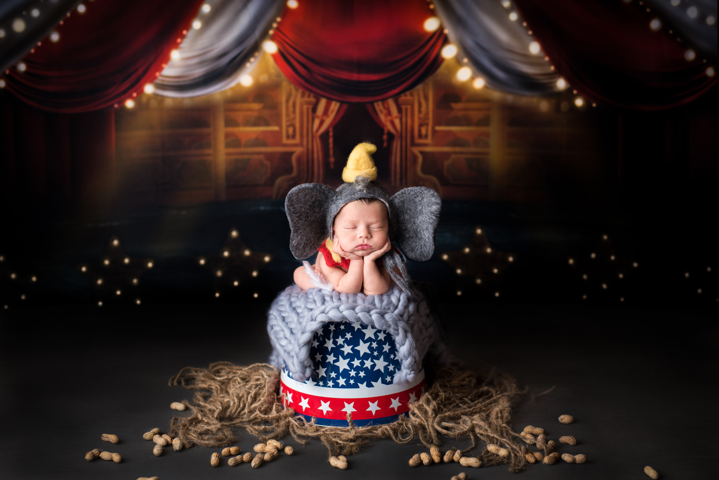 Dumbo themed newborn portrait