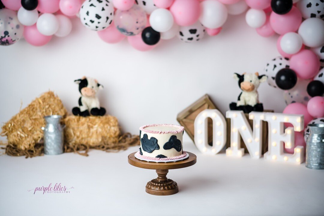 Look at this adorable cow cake!

 #flowermoundphotographer #cakesmashphotography #oneyearold #friscophotographer #dentonphotographer #dallasbabyphotographer #cakesmash #planophotographer #mckinneyphotographer #holycow #moremilk #cakesmashsession
