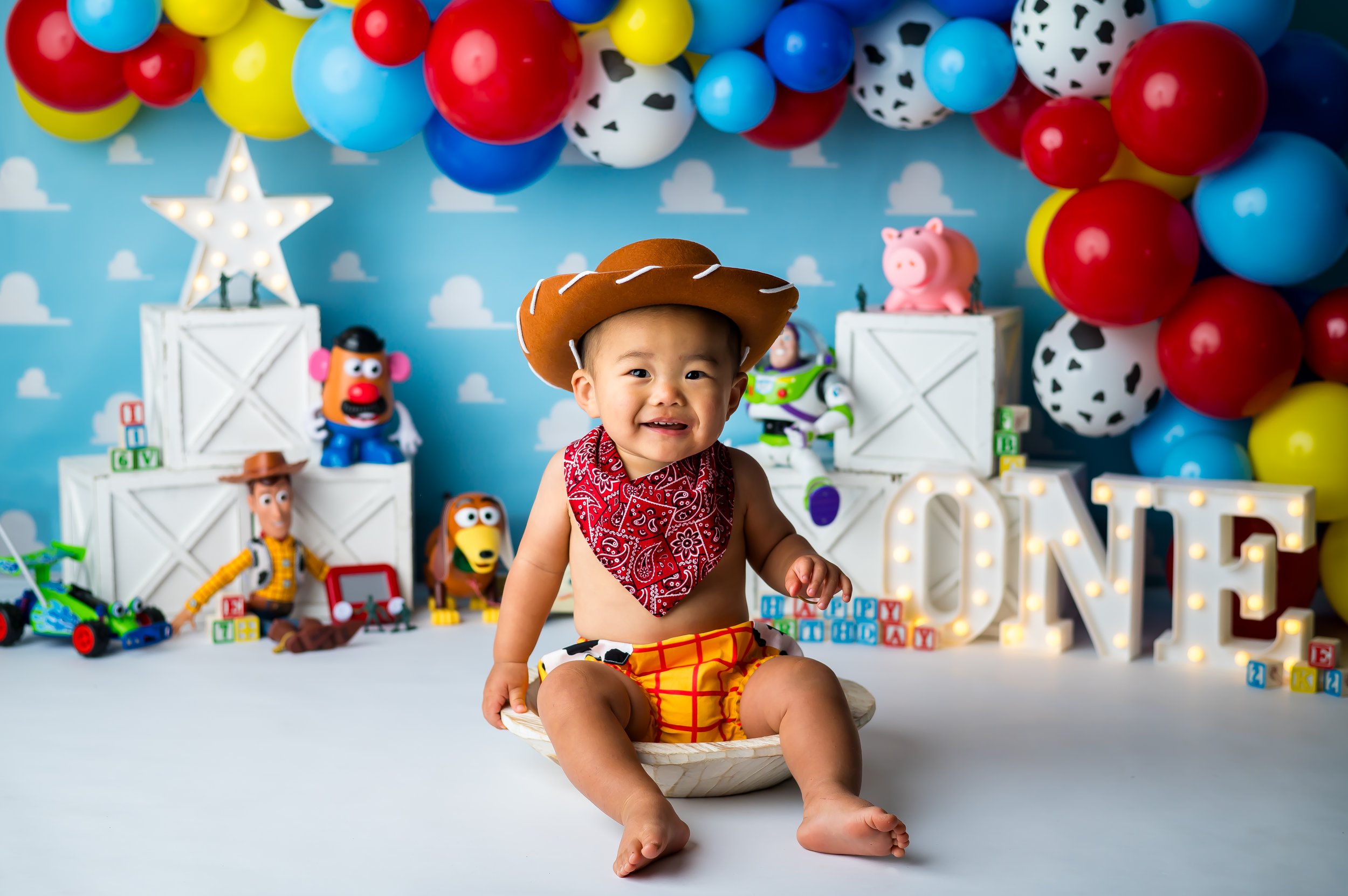 Flower mound Cake Smash Session Photographer
