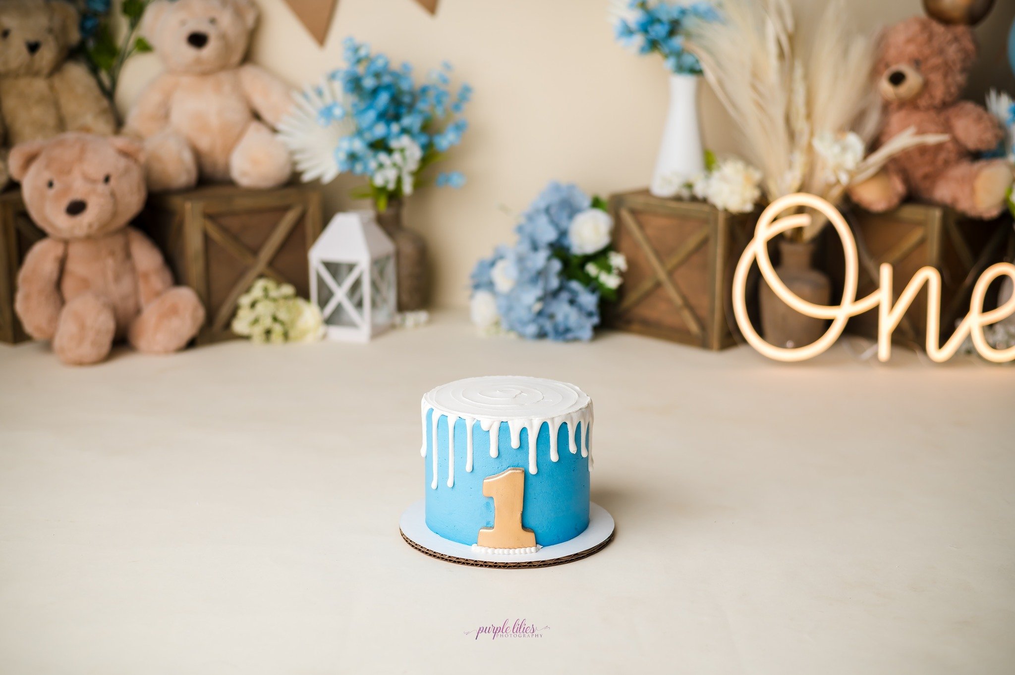 The cutest little cake by Kari's Cakes by Design
#photographer #oneyearold #friscophotographer #dentonphotographer #dallasbabyphotographer #cakesmash #mckinneyphotographer #planophotographer #dfwphotographer #babyphotographer #sittersession #groww