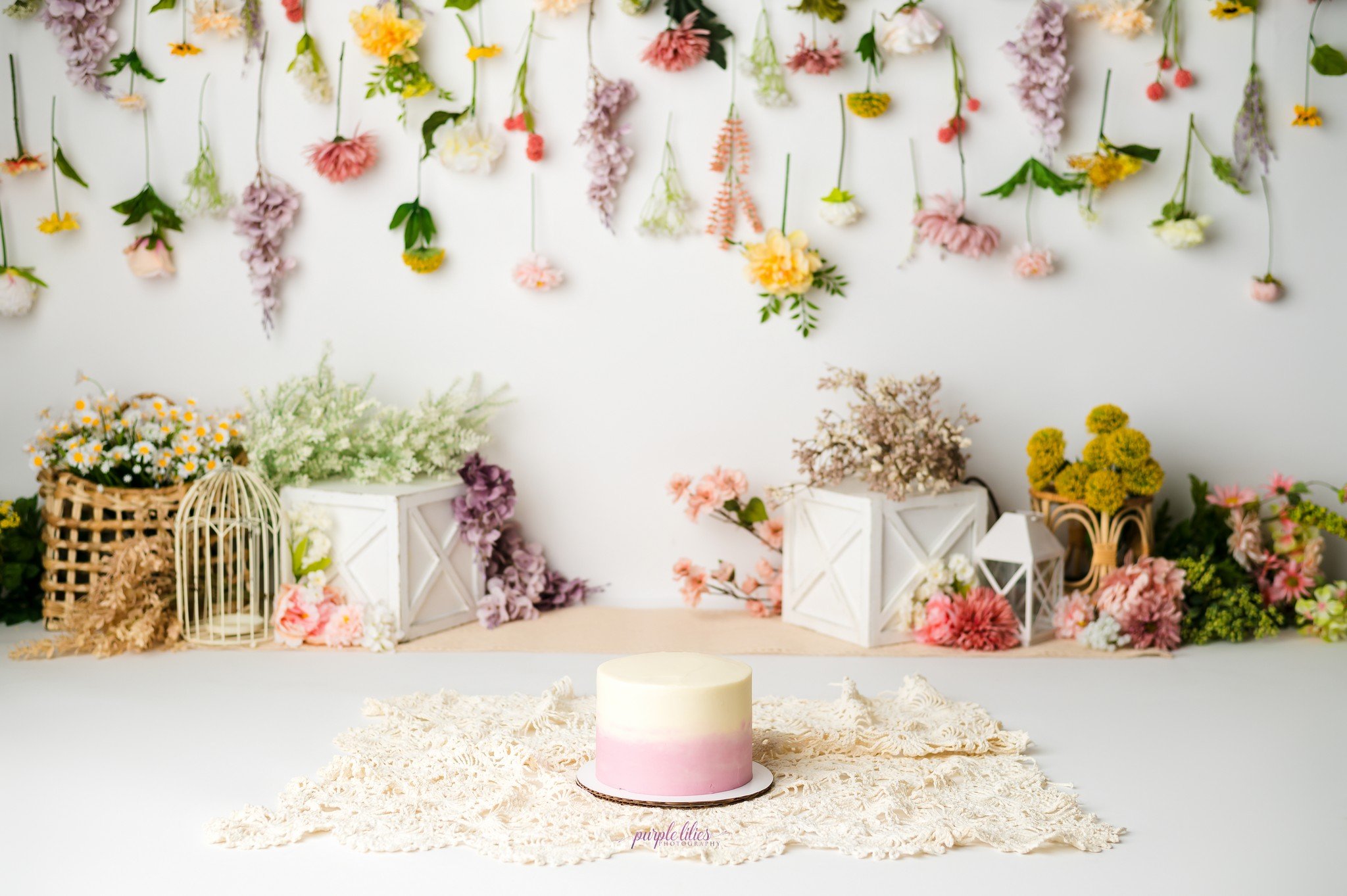 The cutest cake, for the cutest theme
Cake by Kari's Cakes by Design