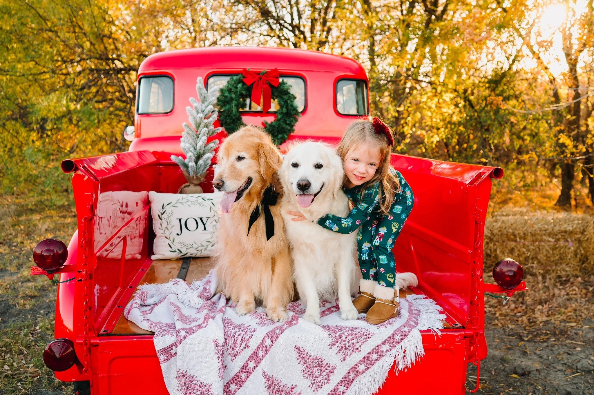 I cannot get enough of all these Christmas pups 😍

 #christmastruck #christmas #christmastraditions #redtruckminisession #dogsofınstagram #christmaspups #oklahomaphotographer #okcphotographer #edmondphotographer #dallasphotos #dentonphotographer #fr