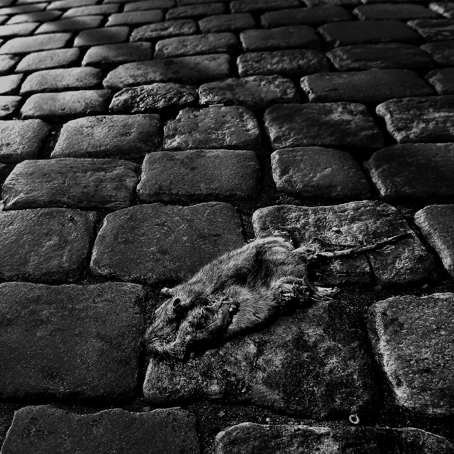 Image from our World Heritage Town.