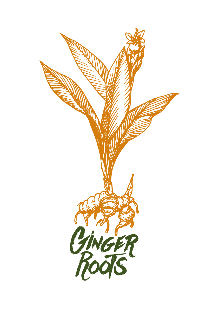 Ginger Roots Branding